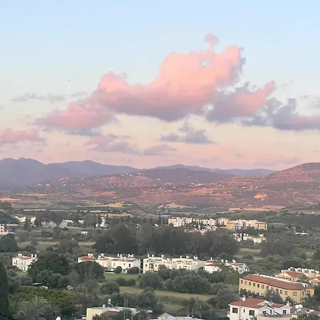 The View